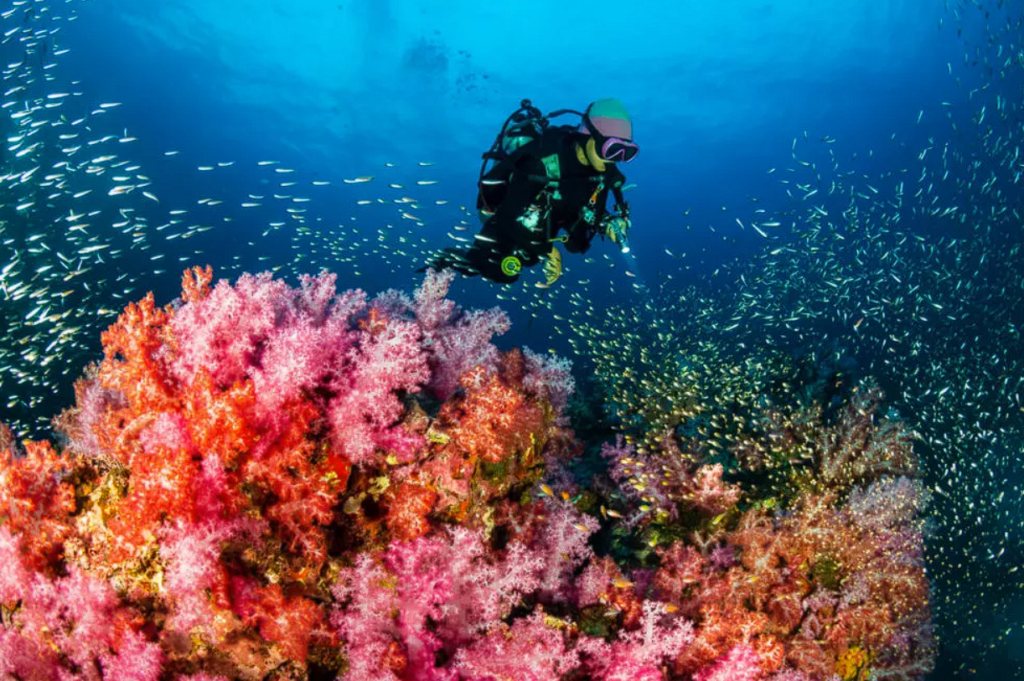 Diving